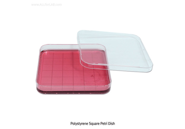 product-large